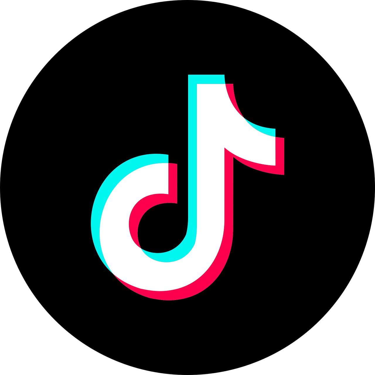 TikTokLogo